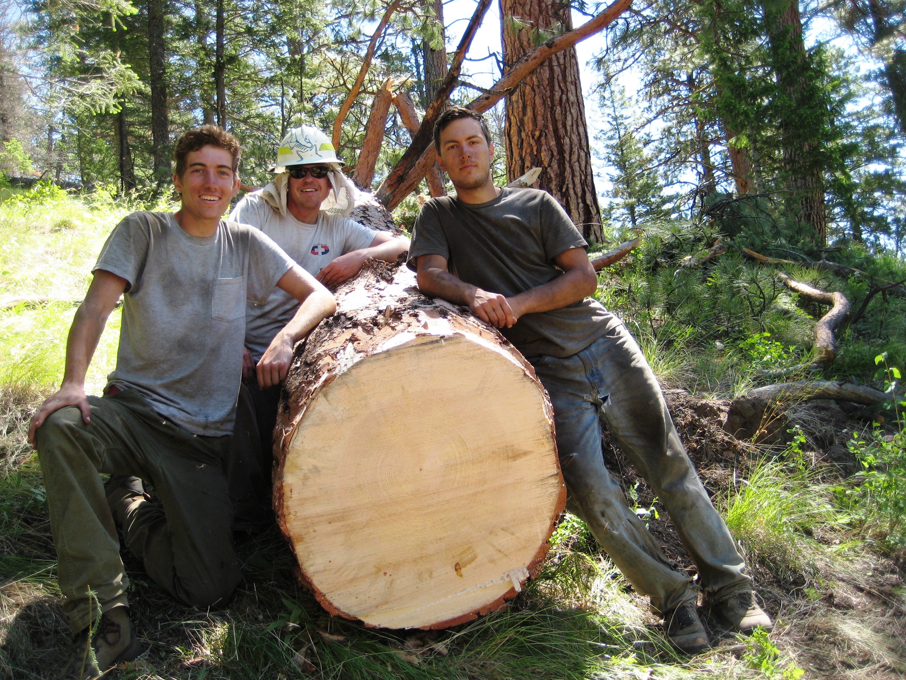 Largest crosscut saw cut of the Chaimberlain 2011 field season