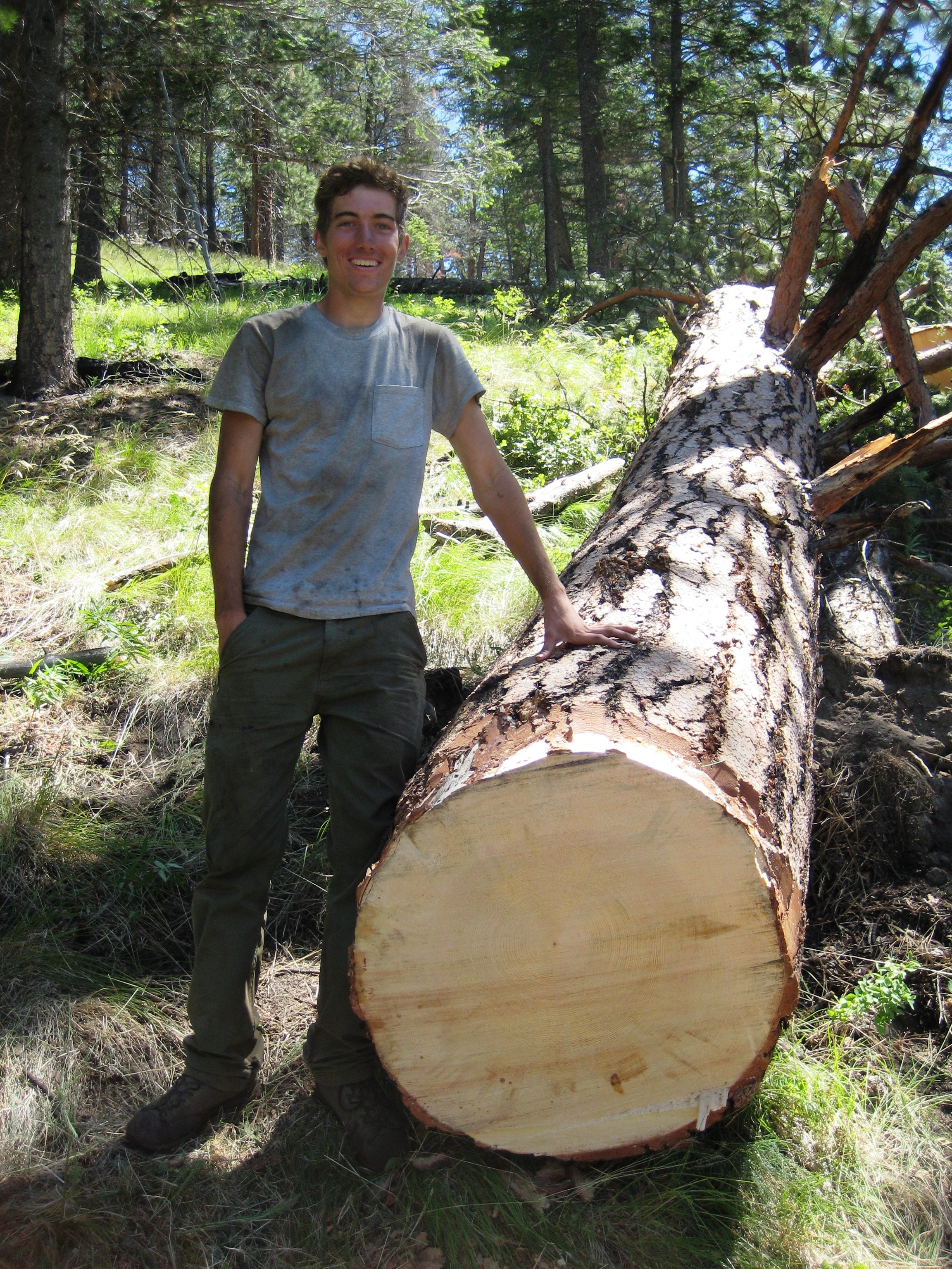Crosscut saw work in Idaho Forest Service trail crew