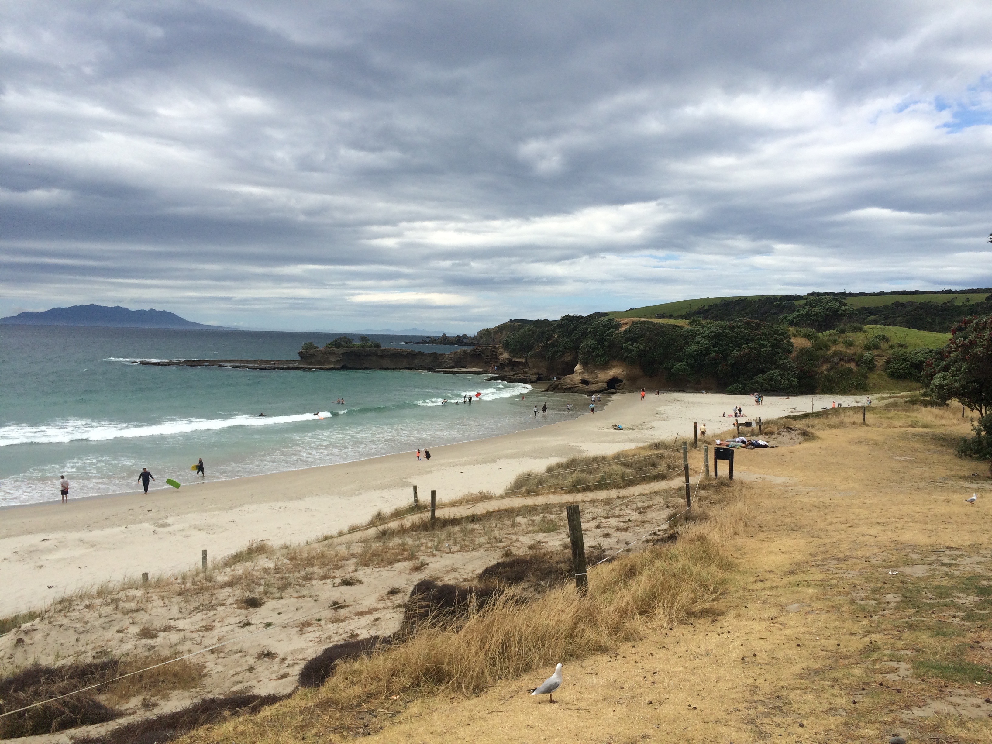 New Zealand coastline, post Antarctica